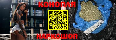 гашик Новозыбков