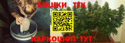 гашик Новозыбков