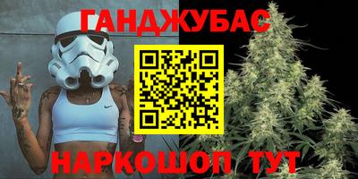 гашик Новозыбков