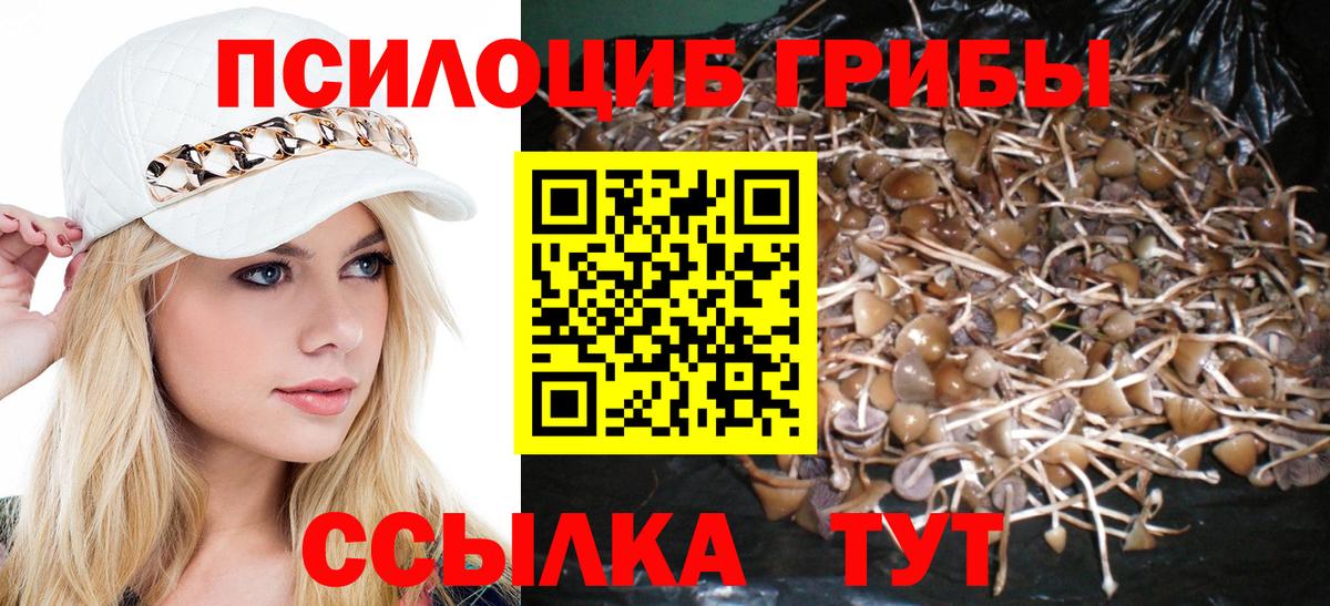 Галлюциногенные грибы мицелий  Вход с VPN  Ростов Великий  Галлюциногенные грибы Magic Shrooms 