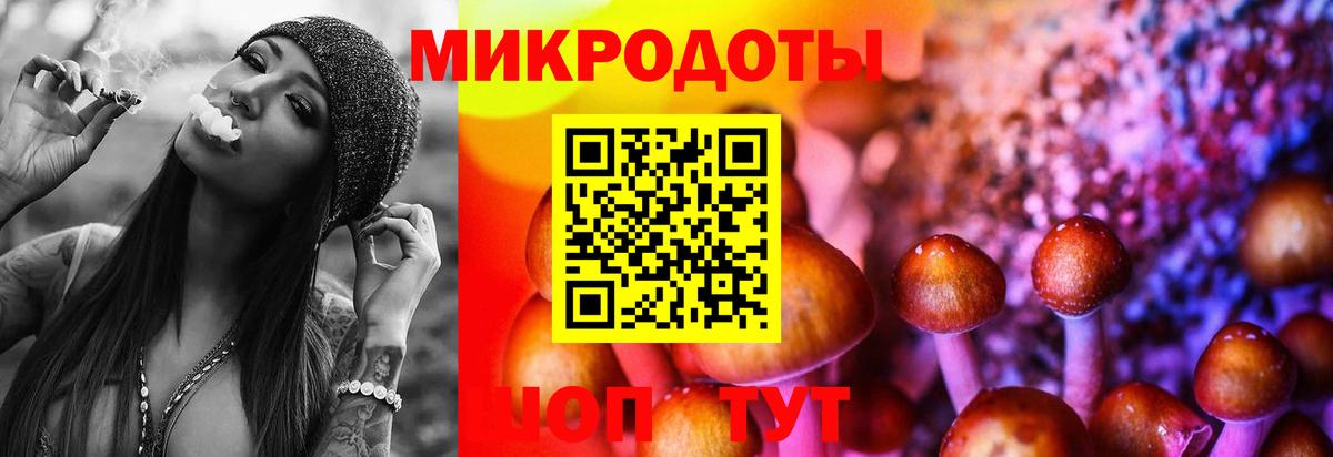 Галлюциногенные грибы Cubensis Ростов Великий